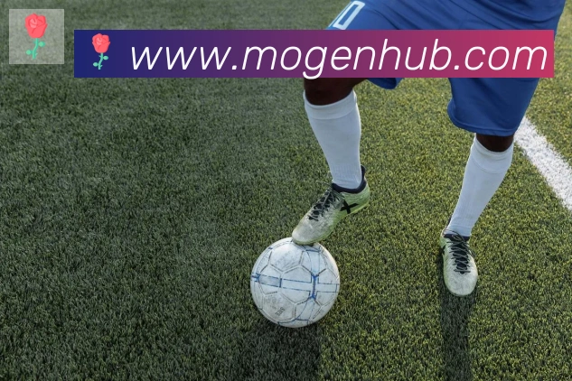 App Interface Preview