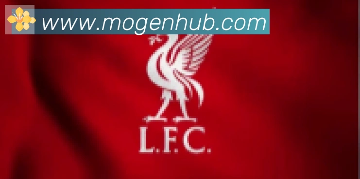 摩根体育合作伙伴