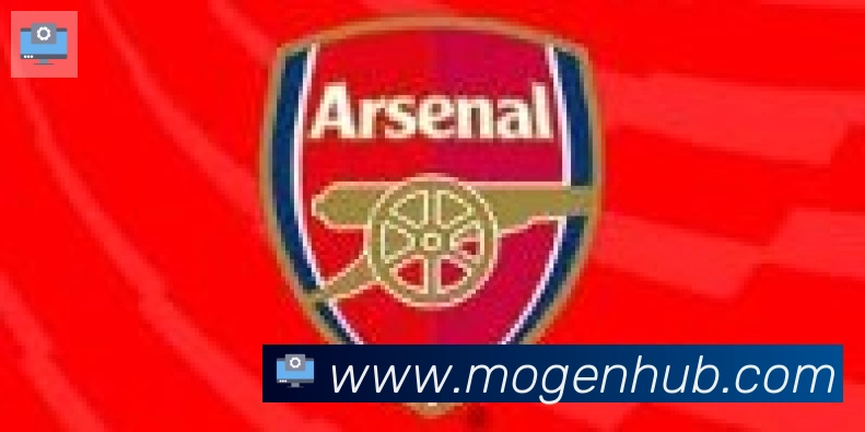 摩根体育合作伙伴