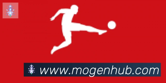 摩根体育合作伙伴